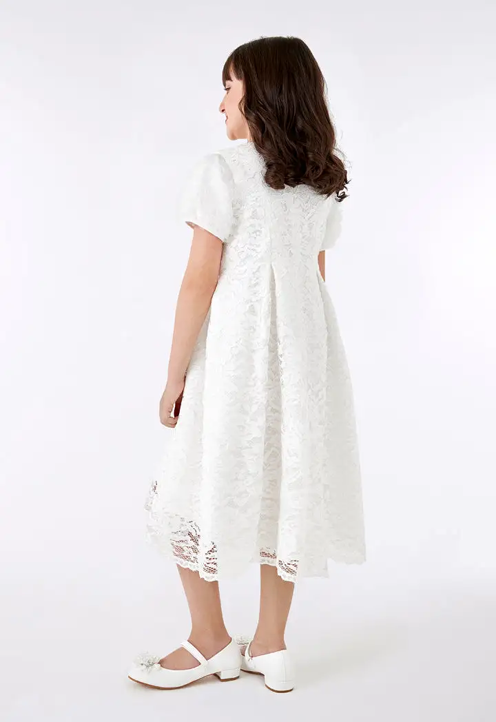 Lace Mesh Ruffle Sleeve Dress