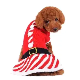 Santa Girl Sweater Dress